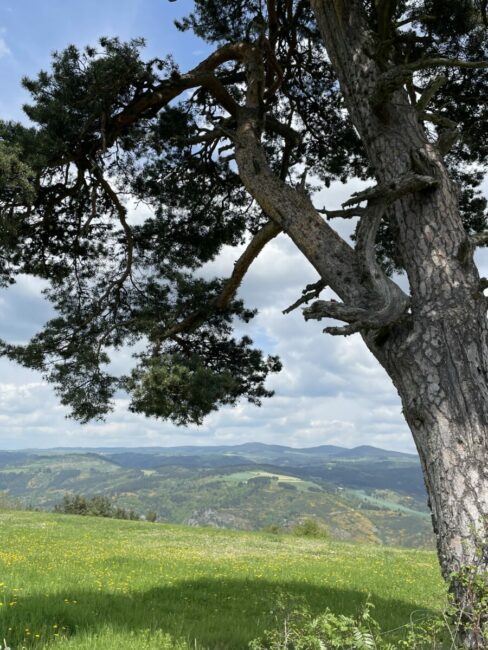 Image 0 : Balade autour de Chambon - Trail n°60