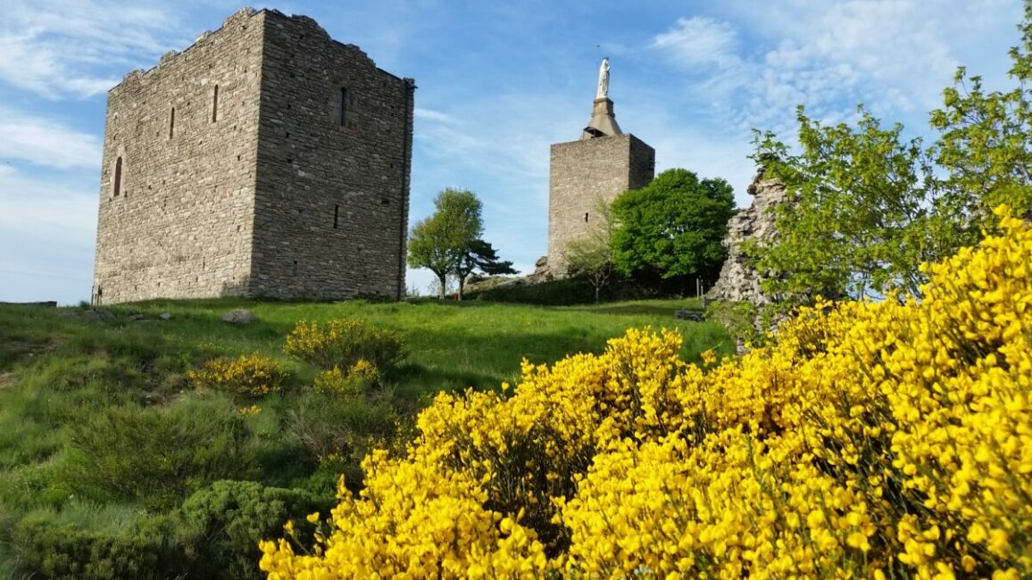 Image 2 : CHÂTEAU DE LUC