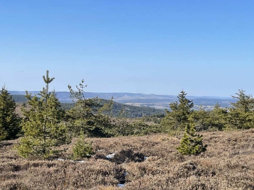 Image 0 : Circuit de la Gardille - VTT n°5