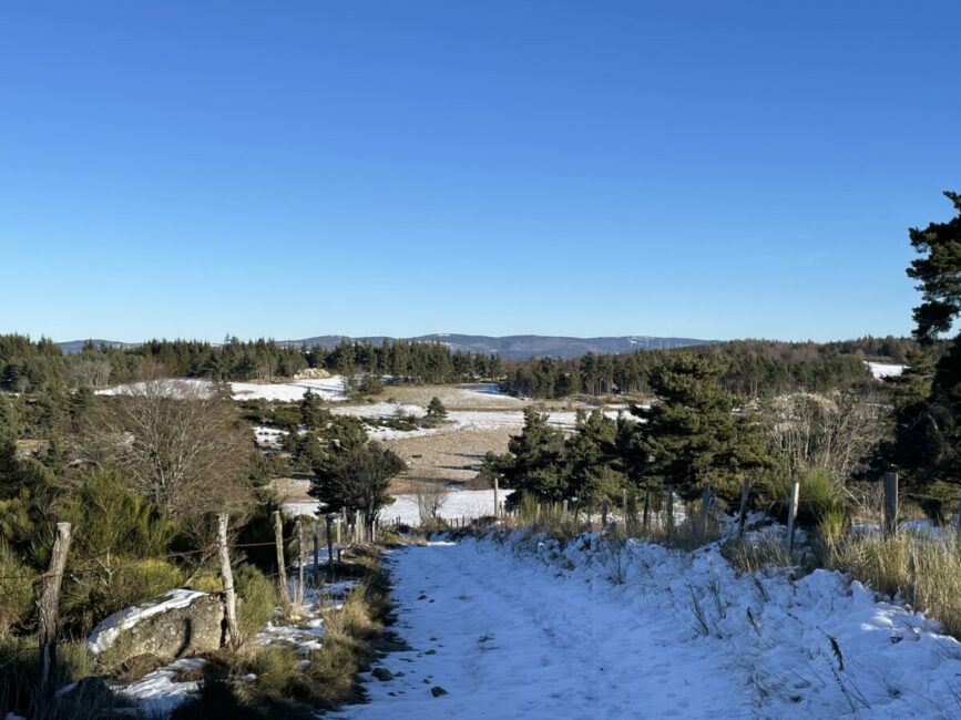 Image 2 : Circuit de Rocles - VTT n°4