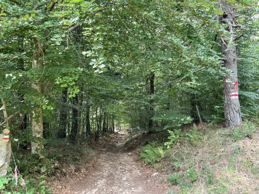 Image 1 : Circuit de Sainte Germaine - VTT N°2