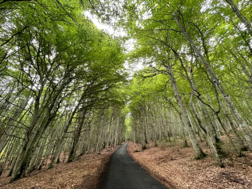 Image 2 : Circuit de Sainte Germaine - VTT N°2