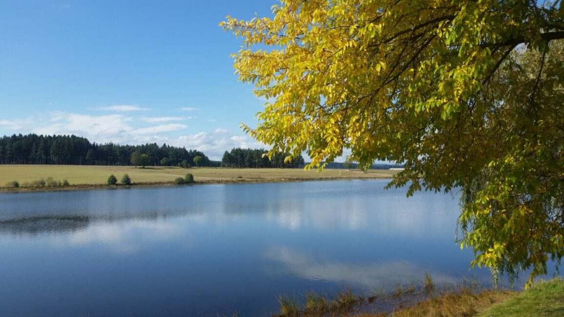 Image 0 : Circuit du Petit Lac - VTT N°1