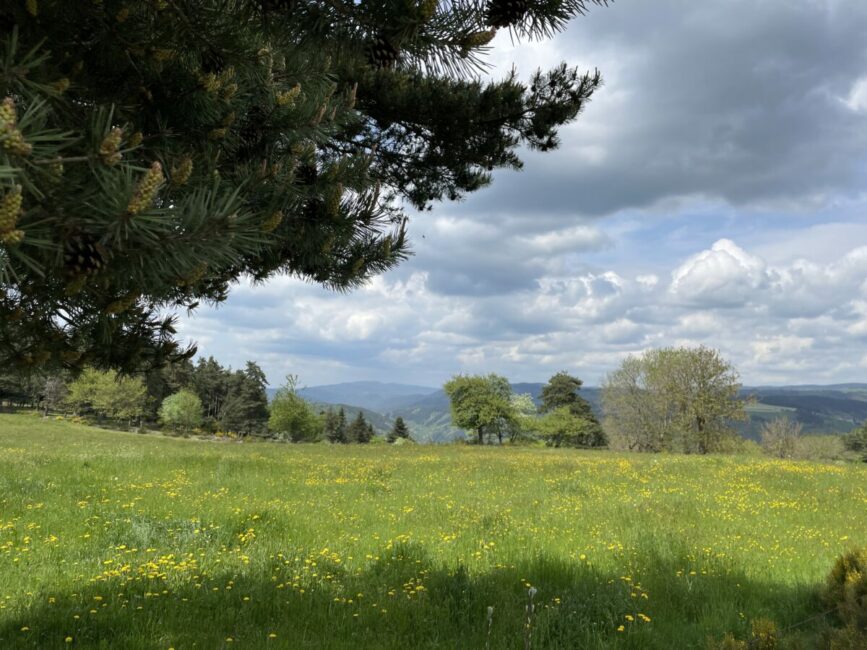 Image 3 : Du Gévaudan au Velay