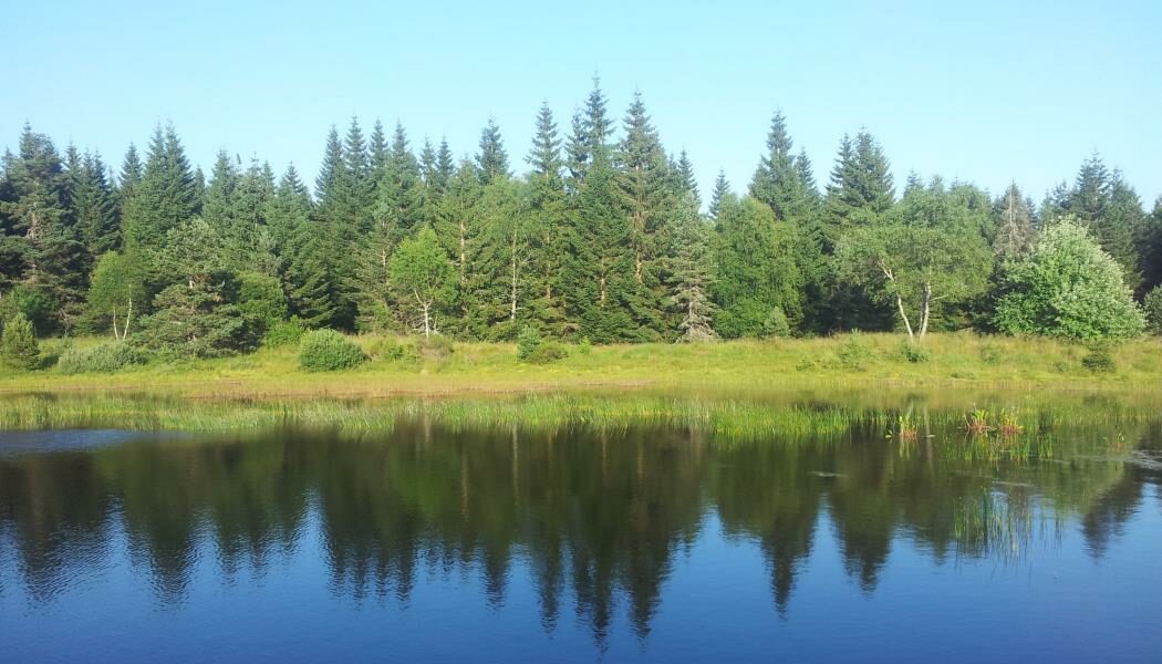 Image 0 : ETANG DE L'AURADOU