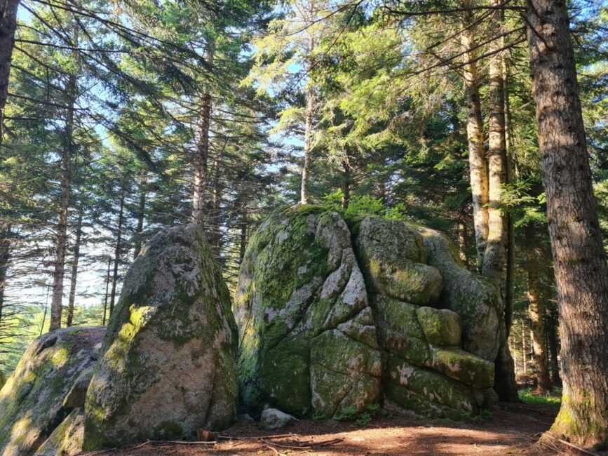 Image 0 : Excursion à Cheylard l'Evêque - Trail n°43