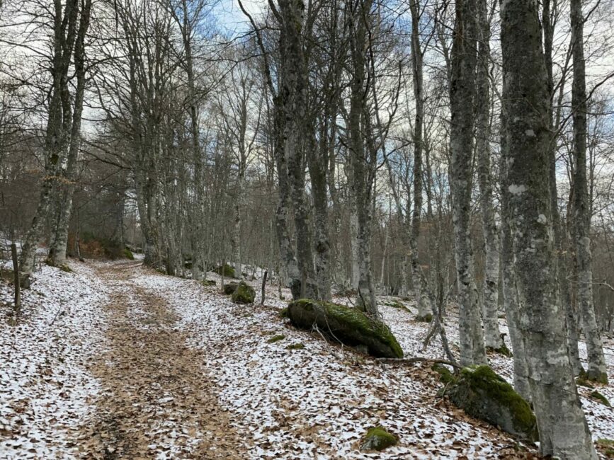 Image 1 : Excursion à Cheylard l'Evêque - Trail n°43