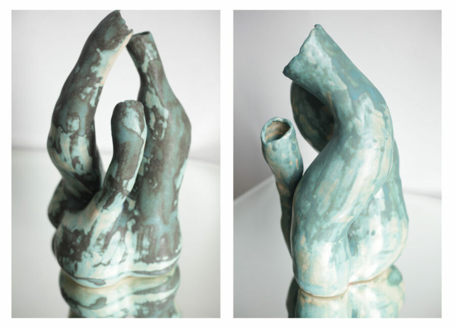 Image 2 : EXPOSITION ESPECES REFUGE