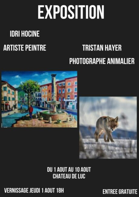 Image 0 : EXPOSITION PEINTURES & PHOTOS ANIMALIÈRES