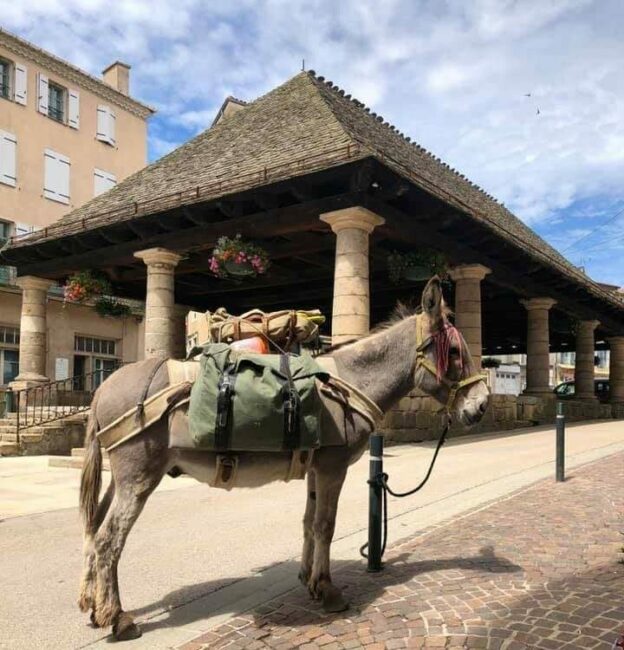 Image 0 : HALLE DE LANGOGNE