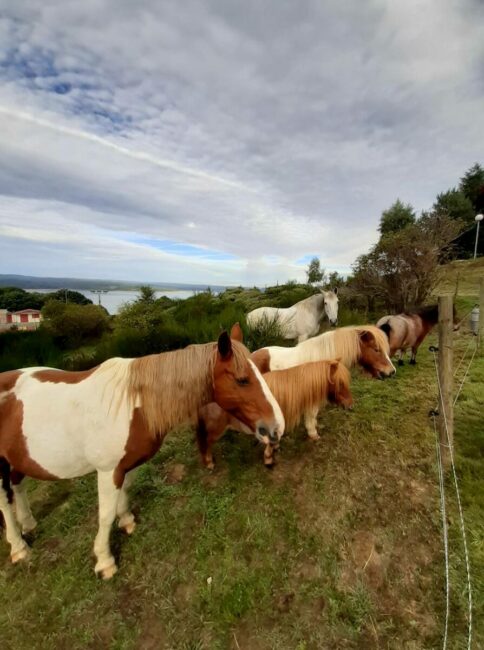 Image 2 : LA FERME DE CARO