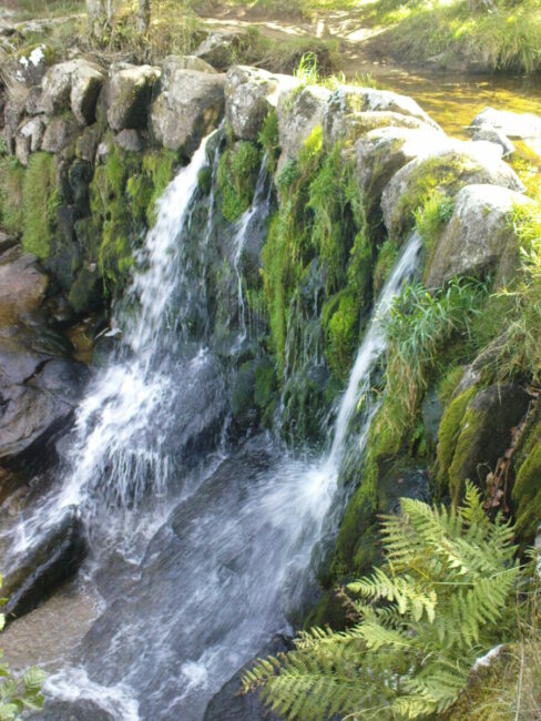 Image 2 : LAC DE NAUSSAC - LA CASCADE DU DONOZAU