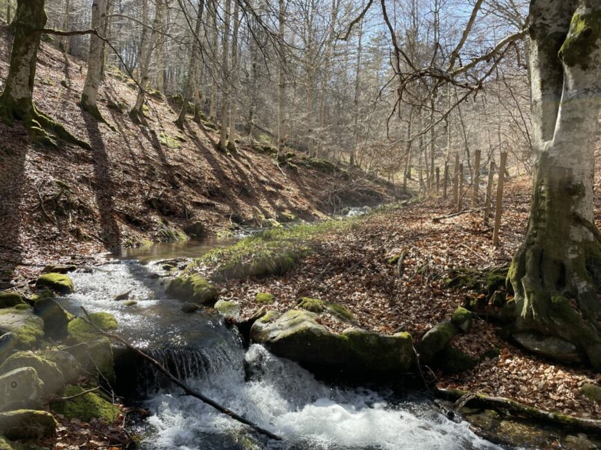 Image 0 : Le Chemin d'Esfagoux