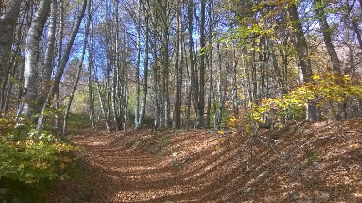 Image 0 : LE CHEMIN D'ESFAGOUX - RANDONNÉE ET PATRIMOINE