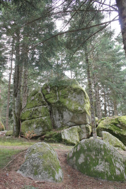 Image 1 : Le sentier des Fées