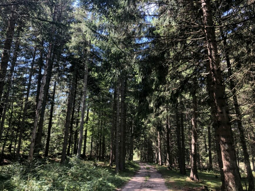 Image 0 : LE SENTIER DES FÉES, VERSION COURSE À PIED