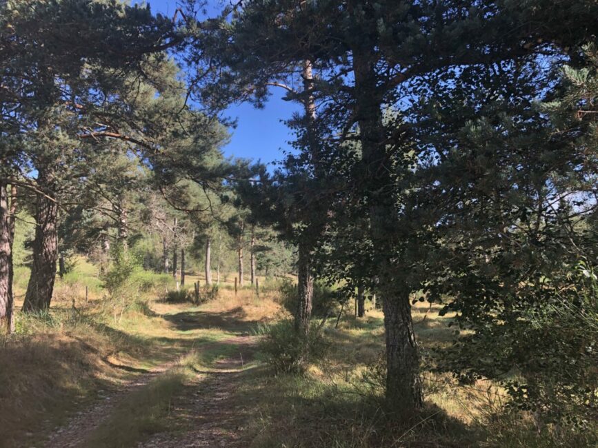 Image 1 : LE SENTIER DES FÉES, VERSION COURSE À PIED