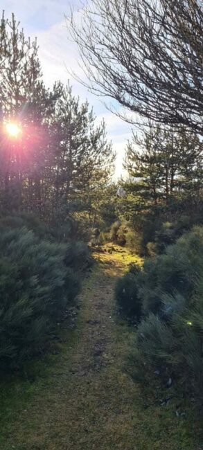 Image 1 : Liaison de Saint-Flour-de-Mercoire à Luc - Trail n°44 bis