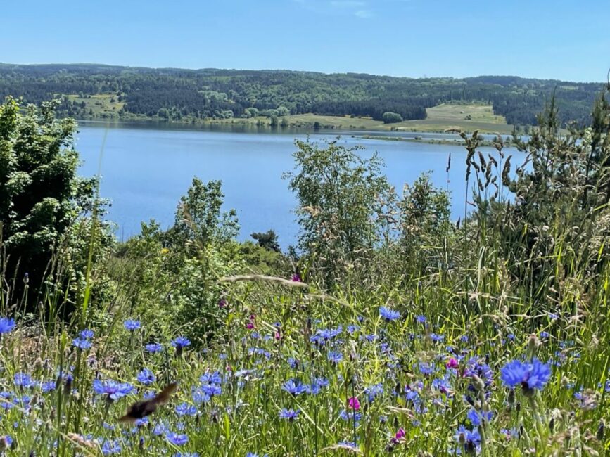 Image 4 : Tour du Lac de Naussac - VTT n°7