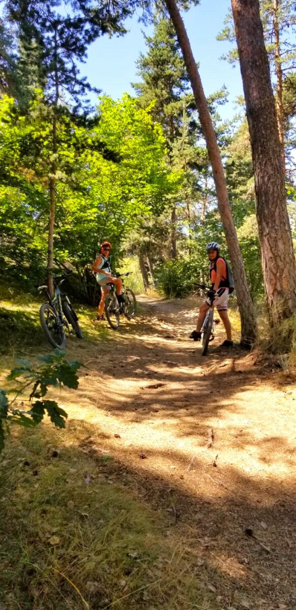 Image 3 : LE RONDIN PARC - LOCATION DE VELO