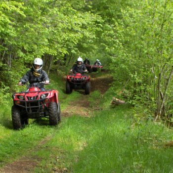 Image 2 : MONSTER QUAD 43
