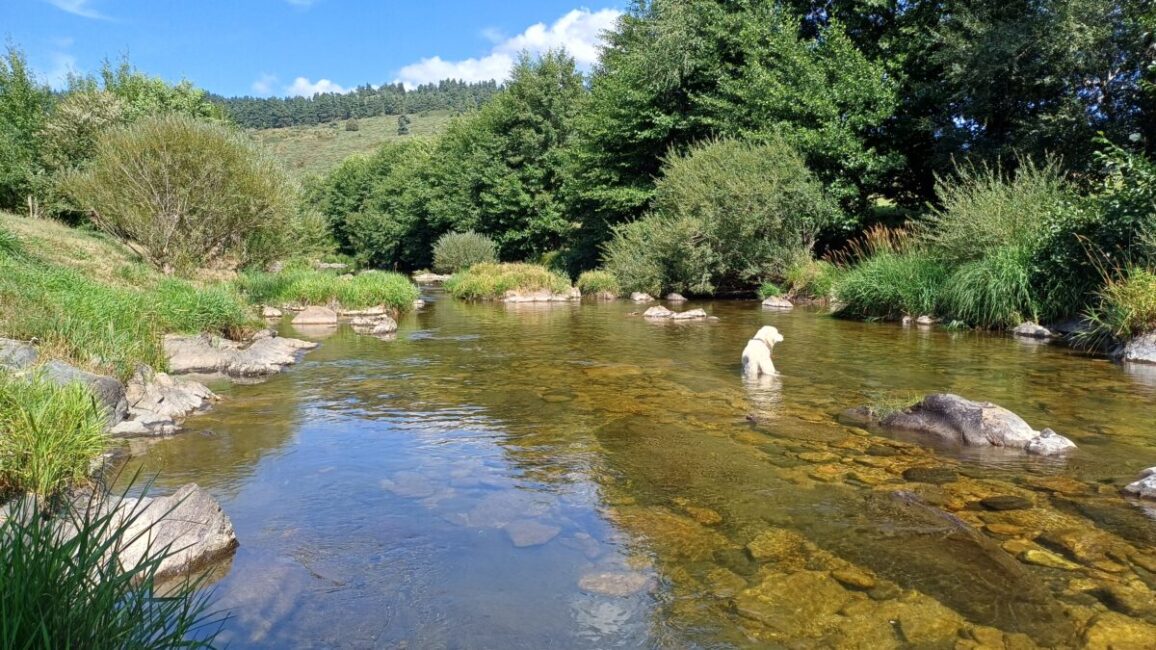 Image 3 : CAMPING LA CIGALE DE L'ALLIER