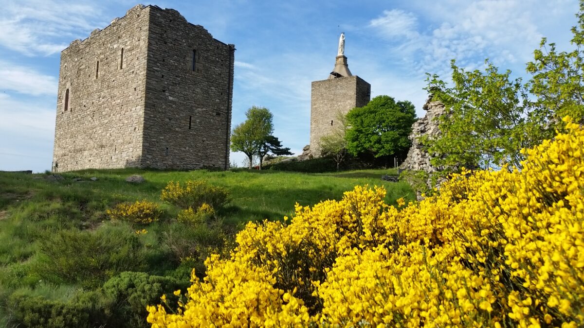 Image 3 : CHÂTEAU DE LUC