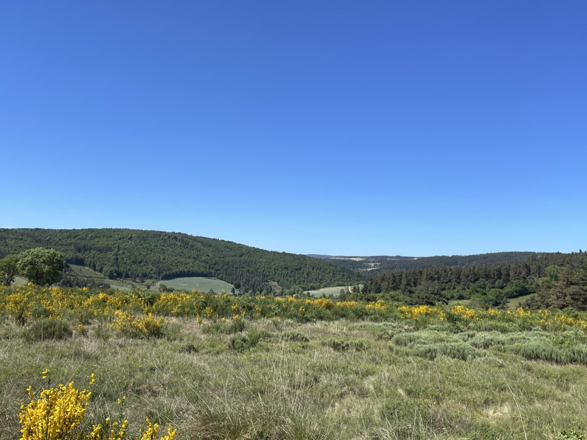 Image 4 : Circuit de l'Art Sacré
