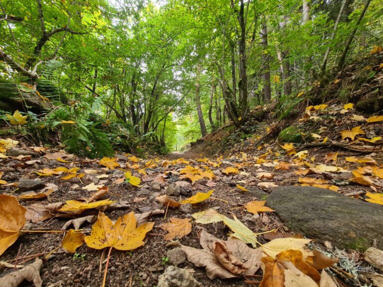 Image d'illustration de l'article