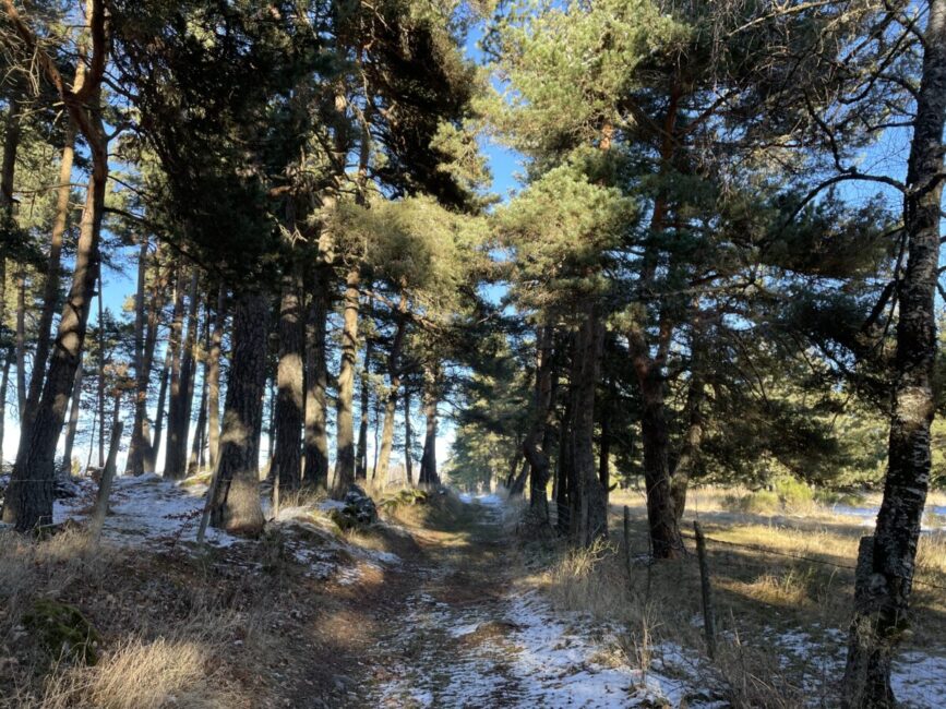 Image 0 : Circuit de Rocles - VTT n°4