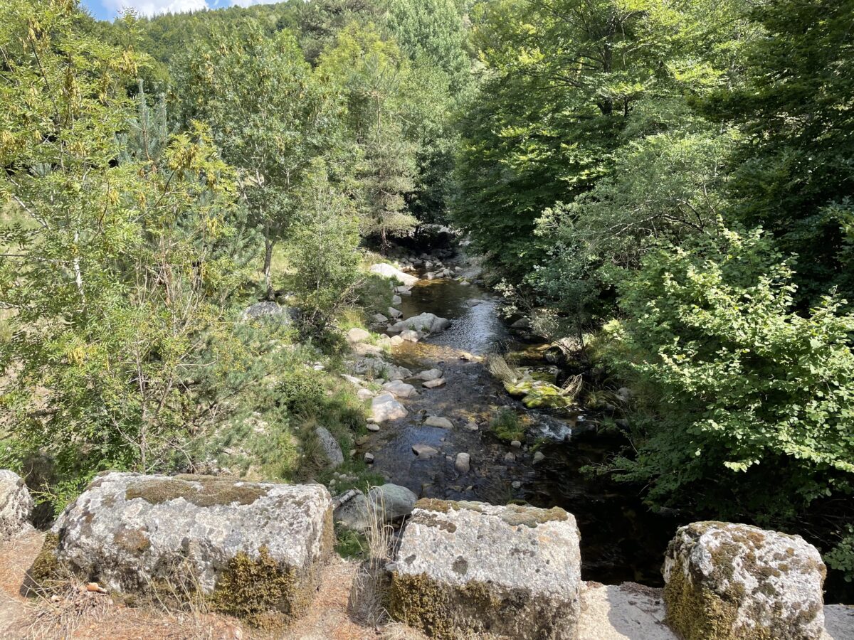 Image 2 : Circuit des Huttes - VTT n°3