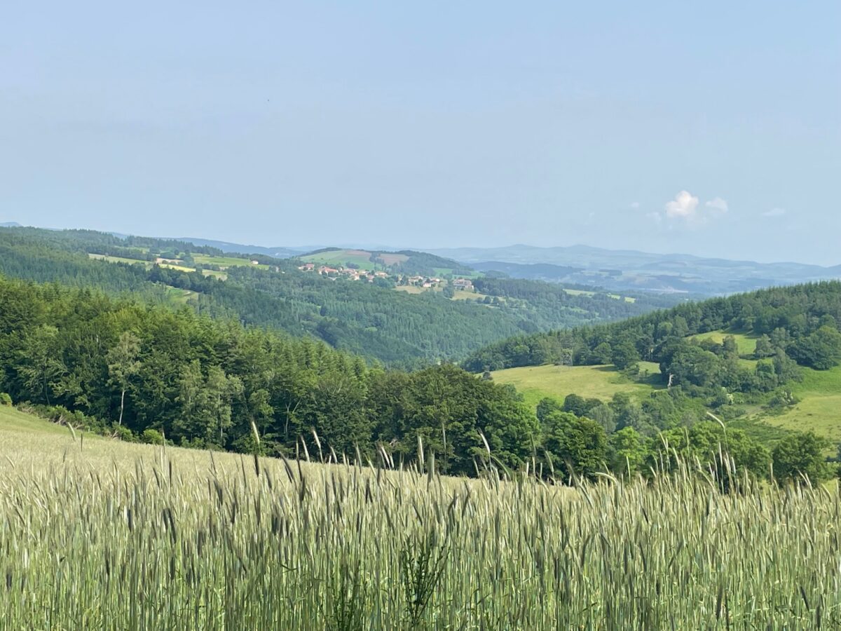 Image 4 : Circuit des Huttes - VTT n°3