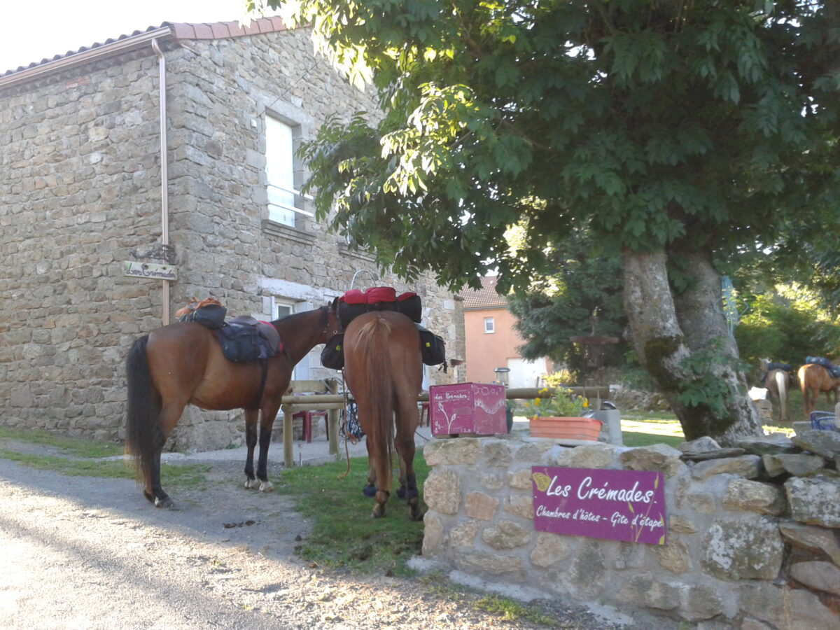 Image 4 : LES CREMADES