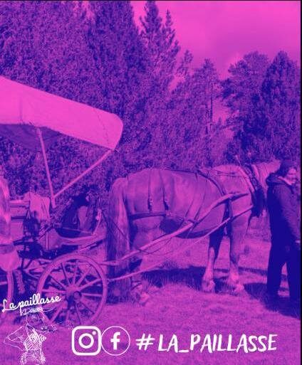 Image d'illustration de l'article