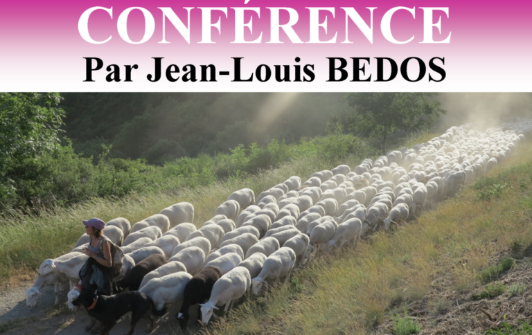 Image d'illustration de l'article