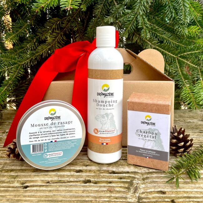 Image 2 : DROMAZÈRE