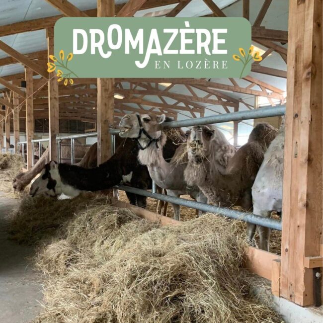 Image 4 : DROMAZÈRE