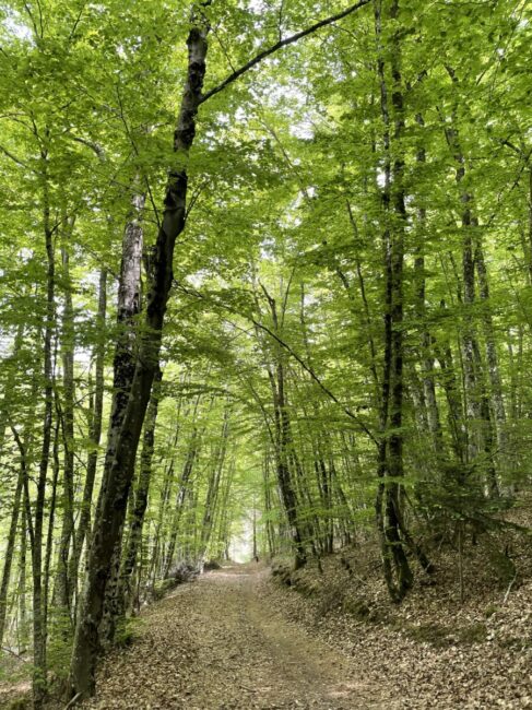 Image 1 : Du Gévaudan au Velay