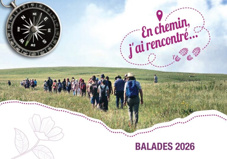 Image d'illustration de l'article