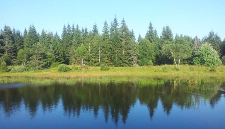 Image d'illustration de l'article