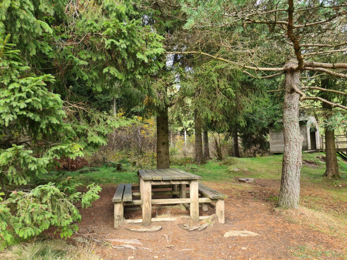 Image 2 : ETANG DE L'AURADOU