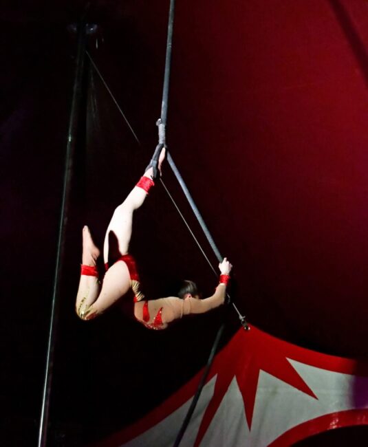 Image 3 : CIRQUE CORSICA