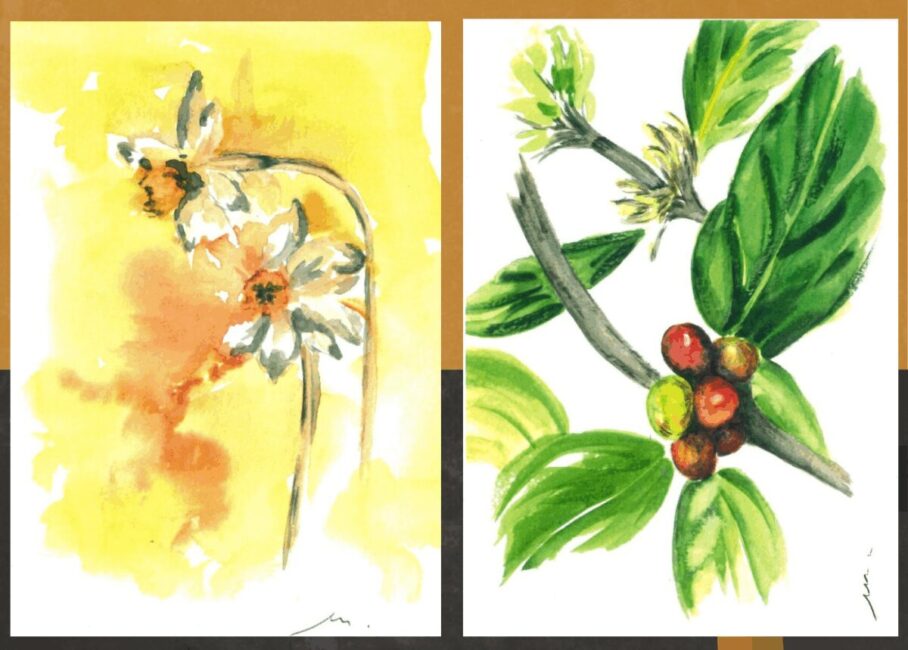 Image 0 : EXPOSITION AQUARELLES
