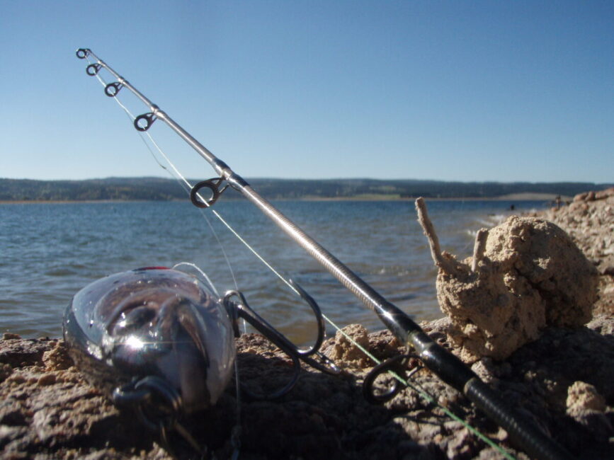 Image 0 : INITIATION PÊCHE AU COUP