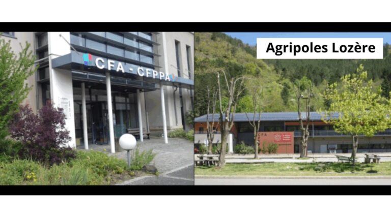 Image d'illustration de l'article