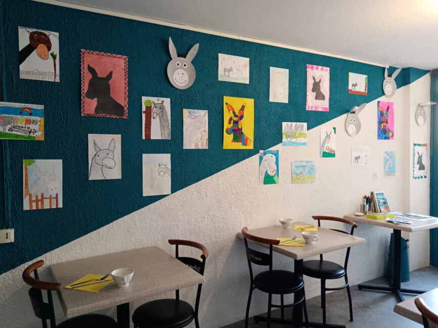 Image 0 : STEVENSON ET SON ÂNE MULTICOLORE