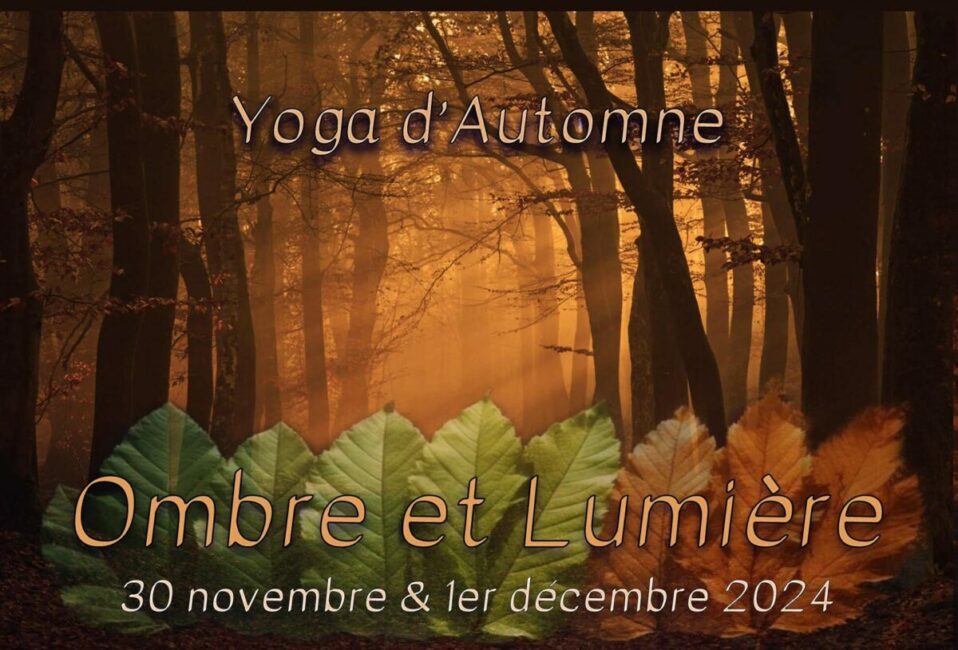 Image 0 : YOGA D'AUTOMNE - OMBRE ET LUMIÈRE