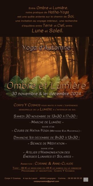 Image 1 : YOGA D'AUTOMNE - OMBRE ET LUMIÈRE