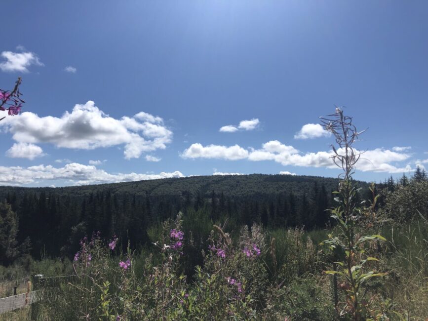 Image 2 : Excursion à Cheylard l'Evêque - Trail n°43