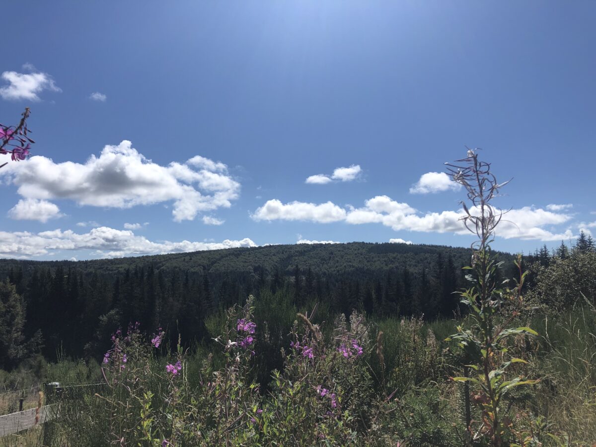 Image 3 : Excursion à Cheylard l'Evêque - Trail n°43